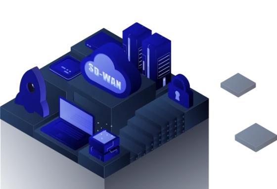 SD-WAN 加速
