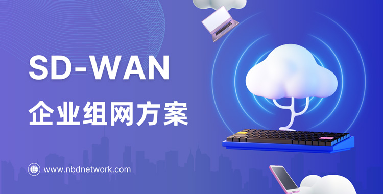 SD-WAN组网方案